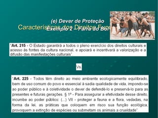Características dos Direitos FundamentaisCaracterísticas dos Direitos Fundamentais
(e) Dever de Proteção(e) Dever de Proteção
Exemplo 2 – Farra do BoiExemplo 2 – Farra do Boi
 