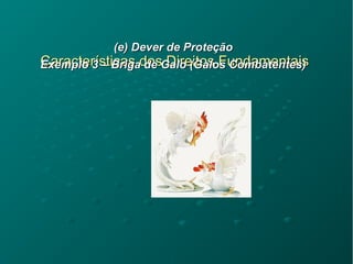 Características dos Direitos FundamentaisCaracterísticas dos Direitos Fundamentais
(e) Dever de Proteção(e) Dever de Proteção
Exemplo 3 – Briga de Galo (Galos Combatentes)Exemplo 3 – Briga de Galo (Galos Combatentes)
 