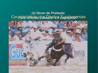 Características dos Direitos FundamentaisCaracterísticas dos Direitos Fundamentais
(e) Dever de Proteção(e) Dever de Proteção
Para reflexão e debate: e a vaquejada?Para reflexão e debate: e a vaquejada?
 