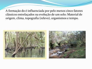 A formação do é influenciada por pelo menos cinco fatores
clássicos entrelaçados na evolução de um solo: Material de
origem, clima, topografia (relevo), organismos e tempo.
 