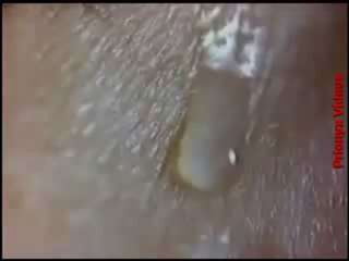 Características dos seres vivos