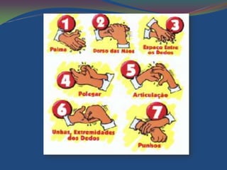 Características dos seres vivos