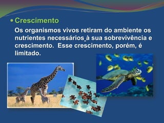  Crescimento
 Os organismos vivos retiram do ambiente os
 nutrientes necessários à sua sobrevivência e
 crescimento. Esse crescimento, porém, é
 limitado.
 