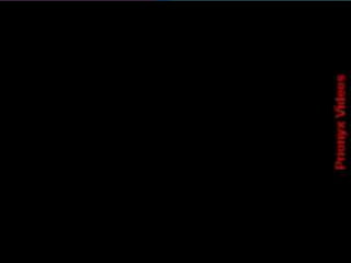 Características dos seres vivos