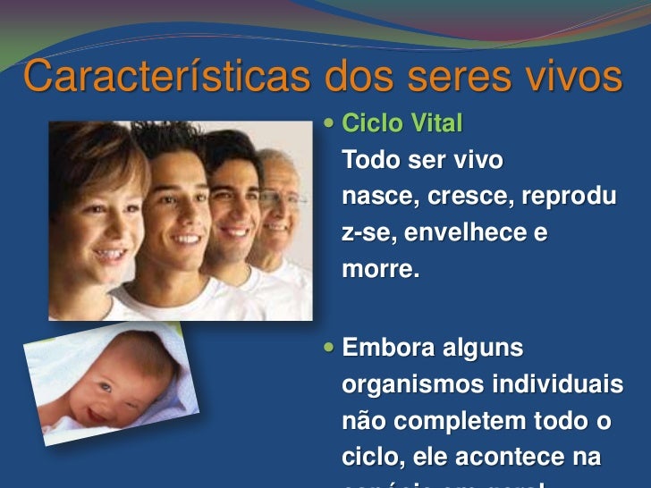 Quais Sao As Principais Caracteristicas Dos Seres Vivos