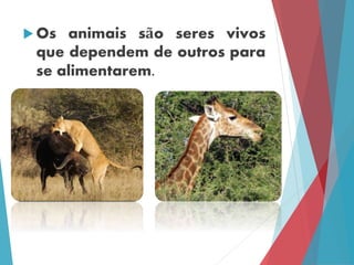 Características dos seres vivos | PPTX