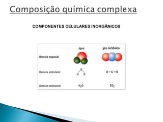 COMPONENTES CELULARES INORGÂNICOS

 