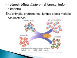 heterotrófica (hetero = diferente; trofo =
alimento)
Ex.: animais, protozoários, fungos e pela maioria


das bactérias.

 