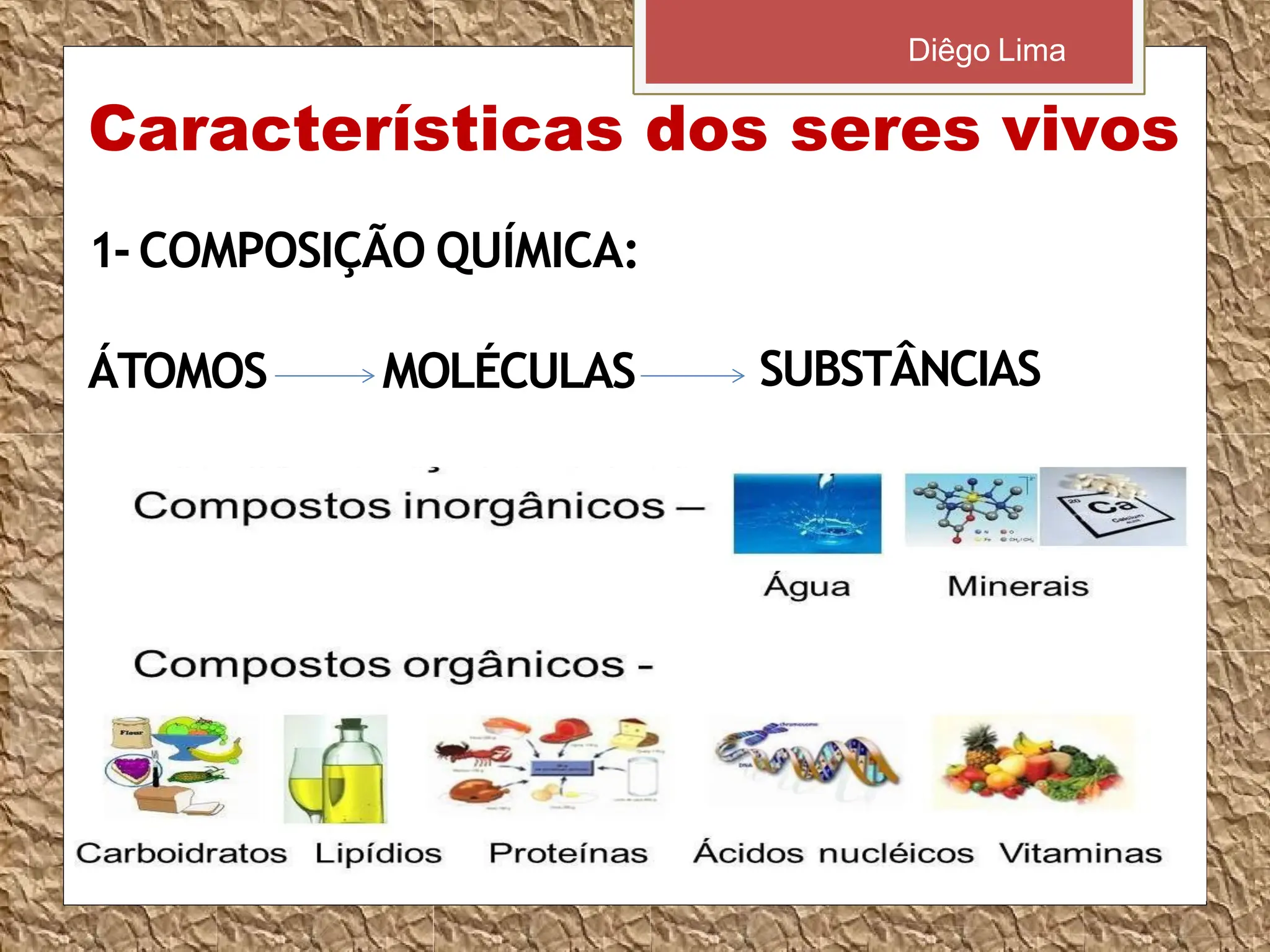 Principais características gerais dos seres vivos | PPT