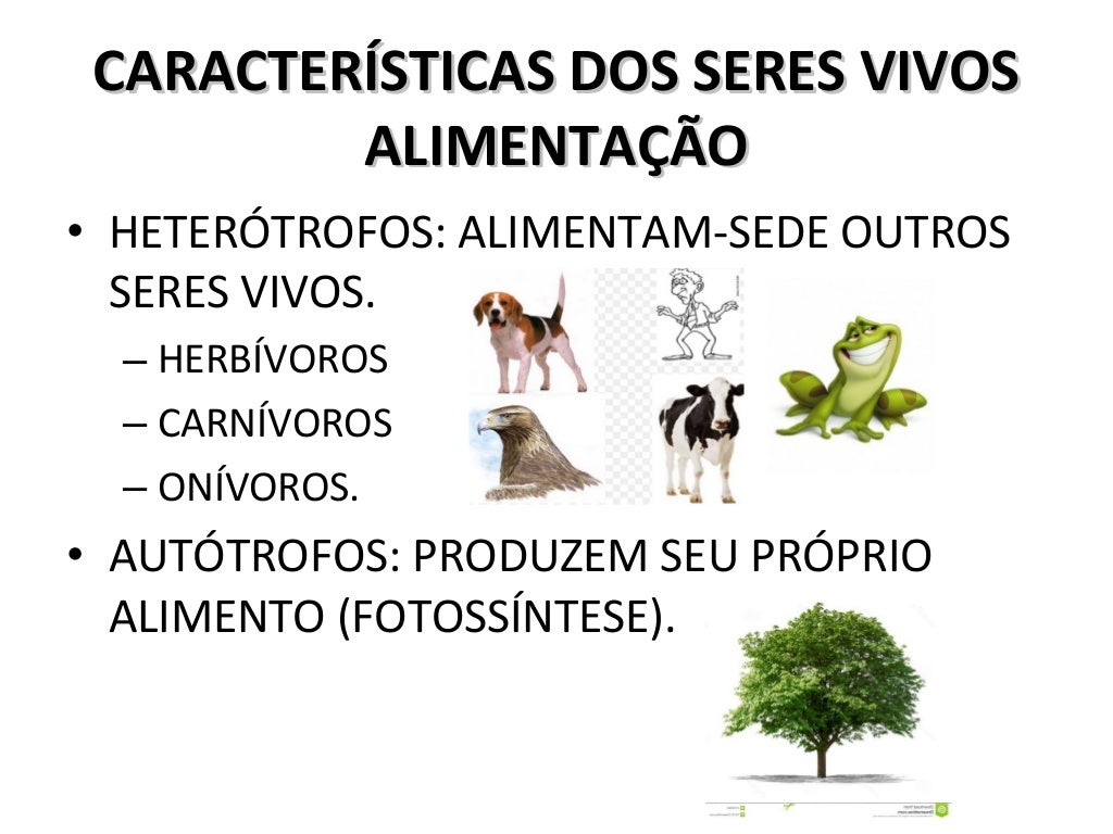Quais Sao As Principais Caracteristicas Dos Seres Vivos