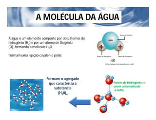 Características Físicas e Químicas da Água.pdf