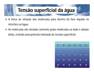 Tensão superficial da água
 A força de atração das moléculas para dentro da fase líquida na
interface ar/água
 As moléculas são atraídas somente pelas moléculas ao lado e abaixo
delas, criando uma película chamada de tensão superficial
http://www.brasilescola.com/
 