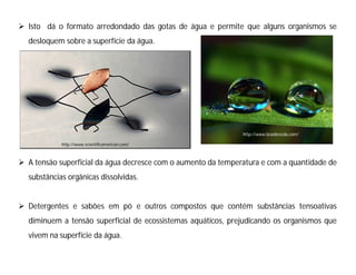  Isto dá o formato arredondado das gotas de água e permite que alguns organismos se
desloquem sobre a superfície da água.
 A tensão superficial da água decresce com o aumento da temperatura e com a quantidade de
substâncias orgânicas dissolvidas.
 Detergentes e sabões em pó e outros compostos que contém substâncias tensoativas
diminuem a tensão superficial de ecossistemas aquáticos, prejudicando os organismos que
vivem na superfície da água.
http://www.brasilescola.com/
http://www.scientificamerican.com/
 