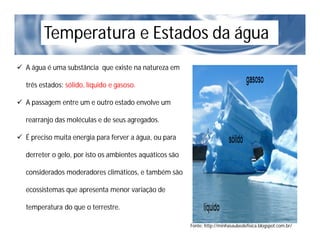 Características Físicas e Químicas da Água.pdf