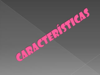 CARACTERÍSTICAS