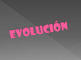EVOLUCIÓN