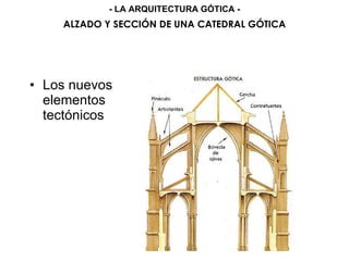• Los nuevos
elementos
tectónicos
ALZADO Y SECCIÓN DE UNA CATEDRAL GÓTICA
- LA ARQUITECTURA GÓTICA -
 