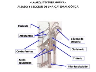 Bóveda de
crucería
Claristorio
Contrafuertes
Arbotantes
Pináculo
Triforio
Arcos
apuntados
Pilar fasciculado
ALZADO Y SECCIÓN DE UNA CATEDRAL GÓTICA
- LA ARQUITECTURA GÓTICA -
 