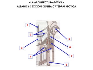 1
2
3
4
5
6
7
8
ALZADO Y SECCIÓN DE UNA CATEDRAL GÓTICA
- LA ARQUITECTURA GÓTICA -
 