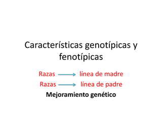 Características genotípicas y
fenotípicas
Razas línea de madre
Razas línea de padre
Mejoramiento genético
 