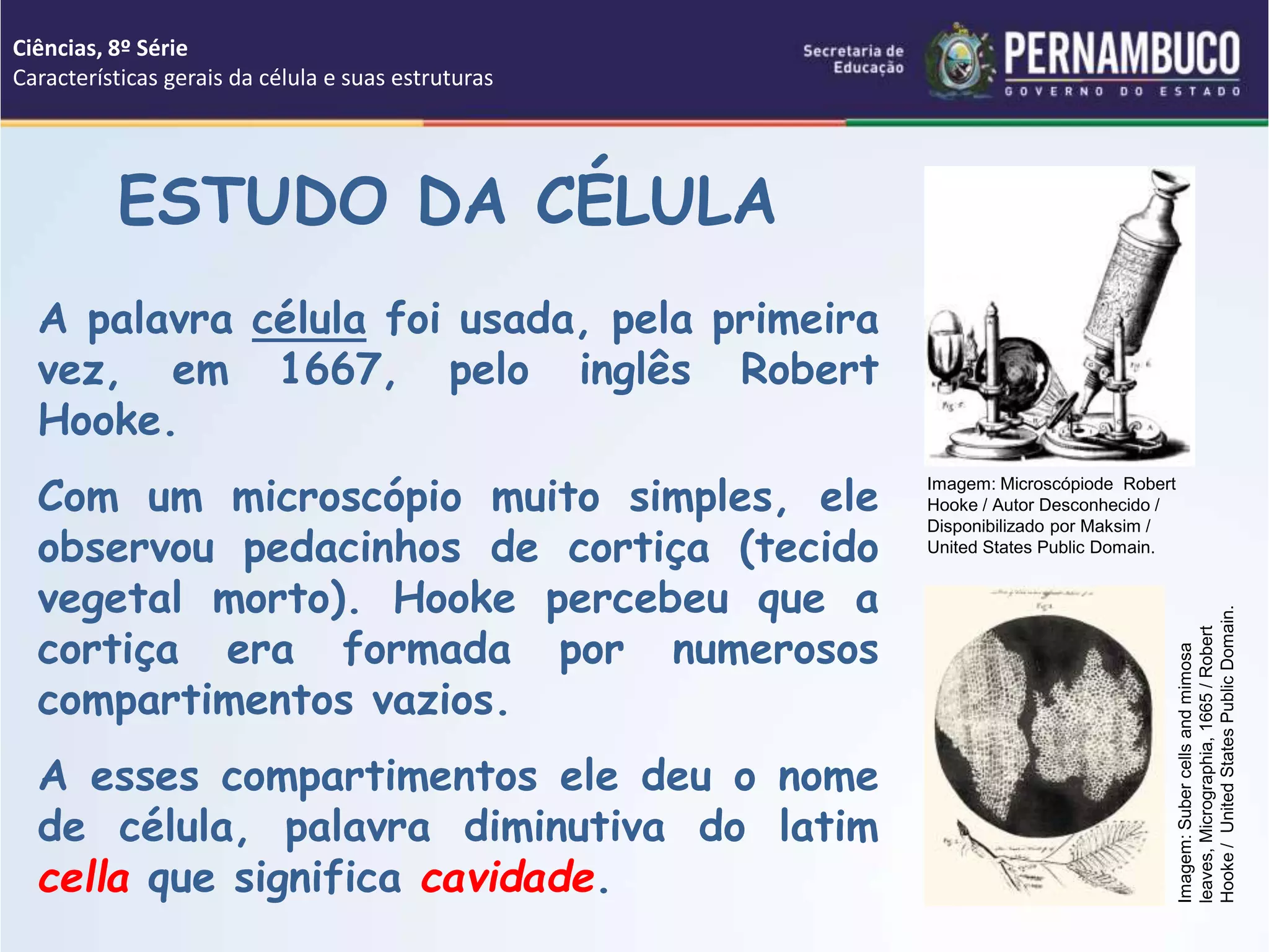 Características gerais da célula e suas estruturas.ppt