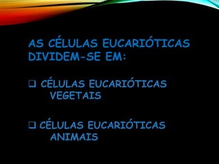 AS CÉLULAS EUCARIÓTICAS
DIVIDEM-SE EM:
❑ CÉLULAS EUCARIÓTICAS
VEGETAIS
❑ CÉLULAS EUCARIÓTICAS
ANIMAIS
 