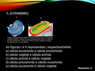 5. (UFSM/2001)
As figuras I e II representam, respectivamente:
a) célula eucarionte e célula procarionte.
b) célula vegetal e célula animal.
c) célula animal e célula vegetal.
d) célula procarionte e célula eucarionte.
e) célula eucarionte e célula vegetal
Resposta: A
Imagens da esquerda para direita: (a) uma célula animal típica com organelas
rotuladas / Mediran / Creative Commons Attribution-Share Alike 3.0 Unported
(b) célula procarionte / Traduzido por Felipe Fontoura, baseado na imagem
de Mariana Ruiz / Domínio Público.
I II
 