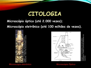 Microscópio óptico (até 2.000 vezes);
Microscópio eletrônico (até 100 milhões de vezes).
CITOLOGIA
Microscópio eletrônico Microscópio Óptico
Imagem:
1-A
Siemens,
Microscópio
Eletrônico
/
Stahlkocher
/
GNU
Free
Documentation
License
Imagem:
O
microscópio
e
as
suas
partes
/
Chiquidama
/
Creative
Commons
Attribution
3.0
Unported.
 