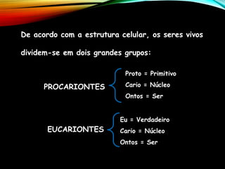 De acordo com a estrutura celular, os seres vivos
dividem-se em dois grandes grupos:
PROCARIONTES
Proto = Primitivo
Cario = Núcleo
Ontos = Ser
EUCARIONTES
Eu = Verdadeiro
Cario = Núcleo
Ontos = Ser
 