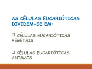 AS CÉLULAS EUCARIÓTICAS
DIVIDEM-SE EM:
 CÉLULAS EUCARIÓTICAS
VEGETAIS
 CÉLULAS EUCARIÓTICAS
ANIMAIS
 