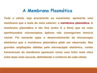 A Membrana Plasmática
Toda a célula, seja procarionte ou eucarionte, apresenta uma
membrana que a isola do meio exterior: a membrana plasmática. A
membrana plasmática é tão fina (entre 6 a 9nm) que os mais
aperfeiçoados microscópios ópticos não conseguiram torná-la
visível. Foi somente após o desenvolvimento da microscopia
eletrônica que a membrana plasmática pôde ser observada. Nas
grandes ampliações obtidas pelo microscópio eletrônico, cortes
transversais da membrana aparecem como uma linha mais clara
entre duas mais escuras, delimitando o contorno de cada célula.
 