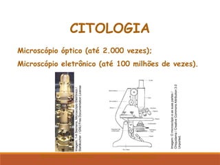 Microscópio óptico (até 2.000 vezes);
Microscópio eletrônico (até 100 milhões de vezes).
CITOLOGIA
Microscópio eletrônico Microscópio Óptico
Imagem:
1-A
Siemens,
Microscópio
Eletrônico
/
Stahlkocher
/
GNU
Free
Documentation
License
Imagem:
O
microscópio
e
as
suas
partes
/
Chiquidama
/
Creative
Commons
Attribution
3.0
Unported.
 