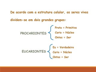 De acordo com a estrutura celular, os seres vivos
dividem-se em dois grandes grupos:
PROCARIONTES
Proto = Primitivo
Cario = Núcleo
Ontos = Ser
EUCARIONTES
Eu = Verdadeiro
Cario = Núcleo
Ontos = Ser
 