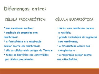Diferenças entre:
CÉLULA PROCARIÓTICA:
 sem membrana nuclear;
 ausência de organelas com
membranas;
 a fotossíntese e a respiração
celular ocorre em membranas;
 são as células mais antigas da Terra e
 todas as bactérias são constituídas
por células procariontes.
CÉLULA EUCARIÓTICA:
• núcleo com membrana nuclear
e nucléolo;
• grande variedades de organelas
com membranas;
• a fotossíntese ocorre nos
cloroplastos e
• a respiração celular ocorre
nas mitocôndrias.
 
