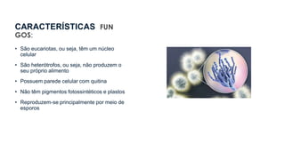 CARACTERÍSTICAS FUN
GOS:
• São eucariotas, ou seja, têm um núcleo
celular
• São heterótrofos, ou seja, não produzem o
seu próprio alimento
• Possuem parede celular com quitina
• Não têm pigmentos fotossintéticos e plastos
• Reproduzem-se principalmente por meio de
esporos
 