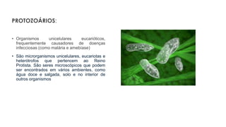 PROTOZOÁRIOS:
• Organismos unicelulares eucarióticos,
frequentemente causadores de doenças
infecciosas (como malária e amebíase)
• São microrganismos unicelulares, eucariotas e
heterótrofos que pertencem ao Reino
Protista. São seres microscópicos que podem
ser encontrados em vários ambientes, como
água doce e salgada, solo e no interior de
outros organismos
 
