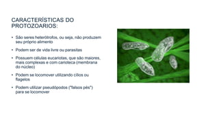 CARACTERÍSTICAS DO
PROTOZOARIOS:
• São seres heterótrofos, ou seja, não produzem
seu próprio alimento
• Podem ser de vida livre ou parasitas
• Possuem células eucariotas, que são maiores,
mais complexas e com carioteca (membrana
do núcleo)
• Podem se locomover utilizando cílios ou
flagelos
• Podem utilizar pseudópodos ("falsos pés")
para se locomover
 