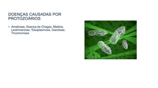 DOENÇAS CAUSADAS POR
PROTOZOÁRIOS
• Amebíase, Doença de Chagas, Malária,
Leishmaniose, Toxoplasmose, Giardíase,
Tricomoníase
 