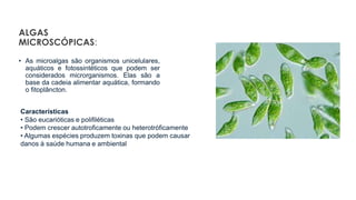 ALGAS
MICROSCÓPICAS:
• As microalgas são organismos unicelulares,
aquáticos e fotossintéticos que podem ser
considerados microrganismos. Elas são a
base da cadeia alimentar aquática, formando
o fitoplâncton.
Características
• São eucarióticas e polifiléticas
• Podem crescer autotroficamente ou heterotróficamente
• Algumas espécies produzem toxinas que podem causar
danos à saúde humana e ambiental
 