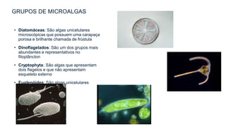 GRUPOS DE MICROALGAS
• Diatomáceas: São algas unicelulares
microscópicas que possuem uma carapaça
porosa e brilhante chamada de frústula
• Dinoflagelados: São um dos grupos mais
abundantes e representativos no
fitoplâncton
• Cryptophyta: São algas que apresentam
dois flagelos e que não apresentam
esqueleto externo
• Euglenóides: São algas unicelulares
 