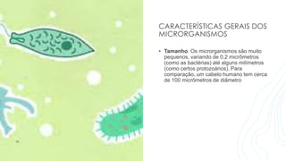 CARACTERÍSTICAS GERAIS DOS
MICRORGANISMOS
• Tamanho: Os microrganismos são muito
pequenos, variando de 0,2 micrômetros
(como as bactérias) até alguns milímetros
(como certos protozoários). Para
comparação, um cabelo humano tem cerca
de 100 micrômetros de diâmetro
 
