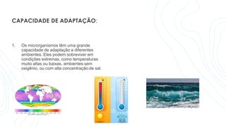 CAPACIDADE DE ADAPTAÇÃO:
1. Os microrganismos têm uma grande
capacidade de adaptação a diferentes
ambientes. Eles podem sobreviver em
condições extremas, como temperaturas
muito altas ou baixas, ambientes sem
oxigênio, ou com alta concentração de sal.
 