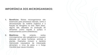 IMPORTÂNCIA DOS MICRORGANISMOS:
1. Benefícios: Muitos microrganismos são
essenciais para processos naturais, como a
decomposição da matéria orgânica e a
fixação de nitrogênio no solo. Além disso,
alguns são utilizados na produção de
alimentos (como iogurte e queijo) e
medicamentos (como antibióticos)
2. Malefícios: No entanto, certos
microrganismos são patogênicos e causam
doenças em seres humanos, animais e
plantas. Exemplos incluem a bactéria
Salmonella (causadora de intoxicação
alimentar), o vírus da gripe, e o fungo
Candida (que causa micoses).
 