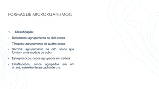 FORMAS DE MICRORGANISMOS:
1. Classificação:
- Diplococos: agrupamento de dois cocos
- Tétrades: agrupamento de quatro cocos
- Sarcina: agrupamento de oito cocos que
formam uma espécie de cubo
- Estreptococos: cocos agrupados em cadeia
- Estafilococos: cocos agrupados em um
arranjo semelhante ao cacho de uva
 