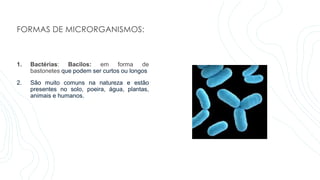 FORMAS DE MICRORGANISMOS:
1. Bactérias: Bacilos: em forma de
bastonetes que podem ser curtos ou longos
2. São muito comuns na natureza e estão
presentes no solo, poeira, água, plantas,
animais e humanos.
 