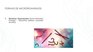 FORMAS DE MICRORGANISMOS:
1. Bactérias: Espiroquetas (forma helicoidal):
Exemplo - Treponema pallidum (causador
da sífilis)
 
