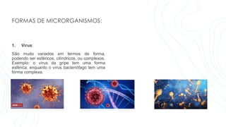 FORMAS DE MICRORGANISMOS:
1. Vírus:
São muito variados em termos de forma,
podendo ser esféricos, cilíndricos, ou complexos.
Exemplo: o vírus da gripe tem uma forma
esférica, enquanto o vírus bacteriófago tem uma
forma complexa.
 