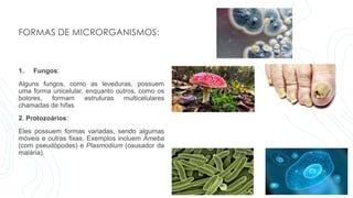 FORMAS DE MICRORGANISMOS:
1. Fungos:
Alguns fungos, como as leveduras, possuem
uma forma unicelular, enquanto outros, como os
bolores, formam estruturas multicelulares
chamadas de hifas
2. Protozoários:
Eles possuem formas variadas, sendo algumas
móveis e outras fixas. Exemplos incluem Ameba
(com pseudópodes) e Plasmodium (causador da
malária).
 