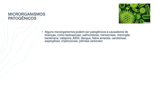 MICRORGANISMOS
PATOGÊNICOS
• Alguns microrganismos podem ser patogênicos e causadores de
doenças, como leptospirose, salmonelose, hanseníase, meningite
bacteriana, catapora, AIDS, dengue, febre amarela, candidíase,
aspergilose, criptococose, pitiríase versicolor
 