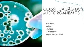CLASSIFICAÇÃO DOS
MICRORGANISMOS
-Bactérias
-Vírus
-Fungos
-Protozoários:
-Algas microscópicas
 